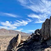 Review photo of Mojave Cross Dispersed — Mojave National Preserve by Sara R., November 7, 2020