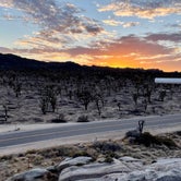 Review photo of Mojave Cross Dispersed — Mojave National Preserve by Sara R., November 7, 2020