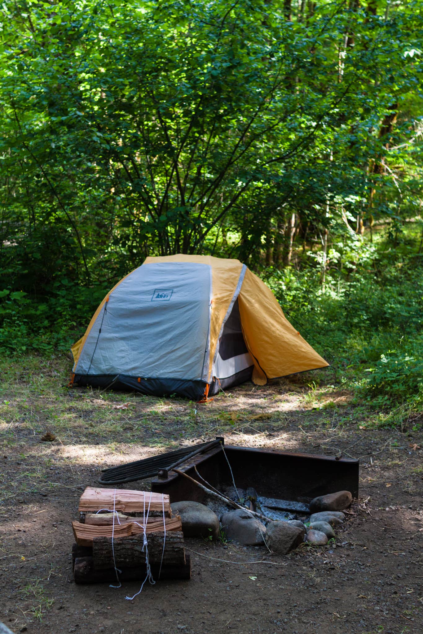 Camper submitted image from Beaver Campground - 5