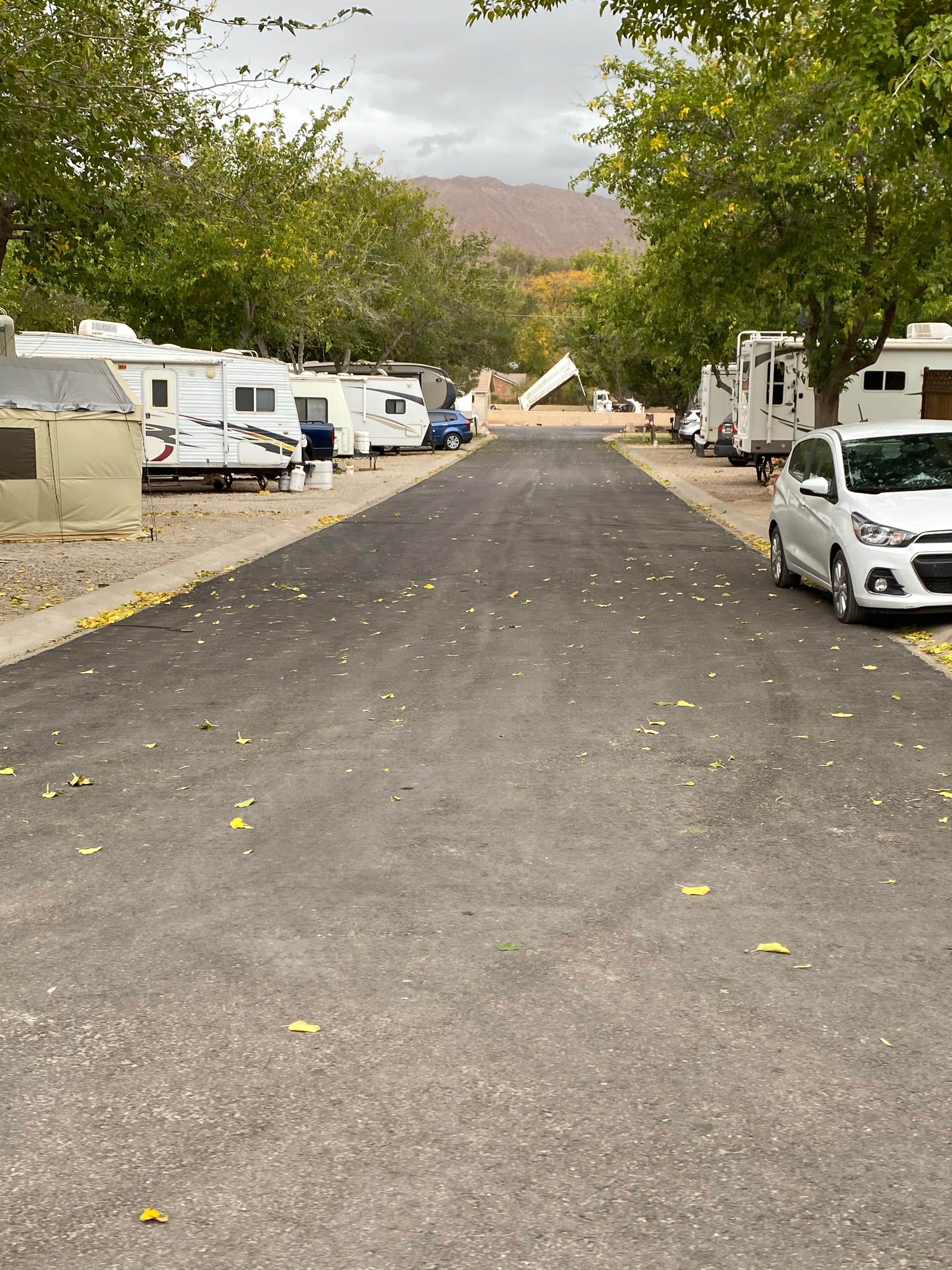 Camper-submitted photo at Zion West RV Park near Ivins, UT