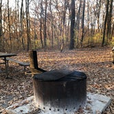 Review photo of Starved Rock Campground — Starved Rock State Park by Rose F., November 7, 2020