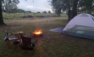 Monte W.'s photo at Green Swamp — West Tract near Zephyrhills, FL