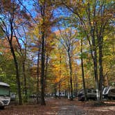 Review photo of Thousand Trails PA Dutch Country by Kasey M., November 8, 2020