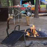 Review photo of Crane Flat Campground — Yosemite National Park by Carly E., May 23, 2018