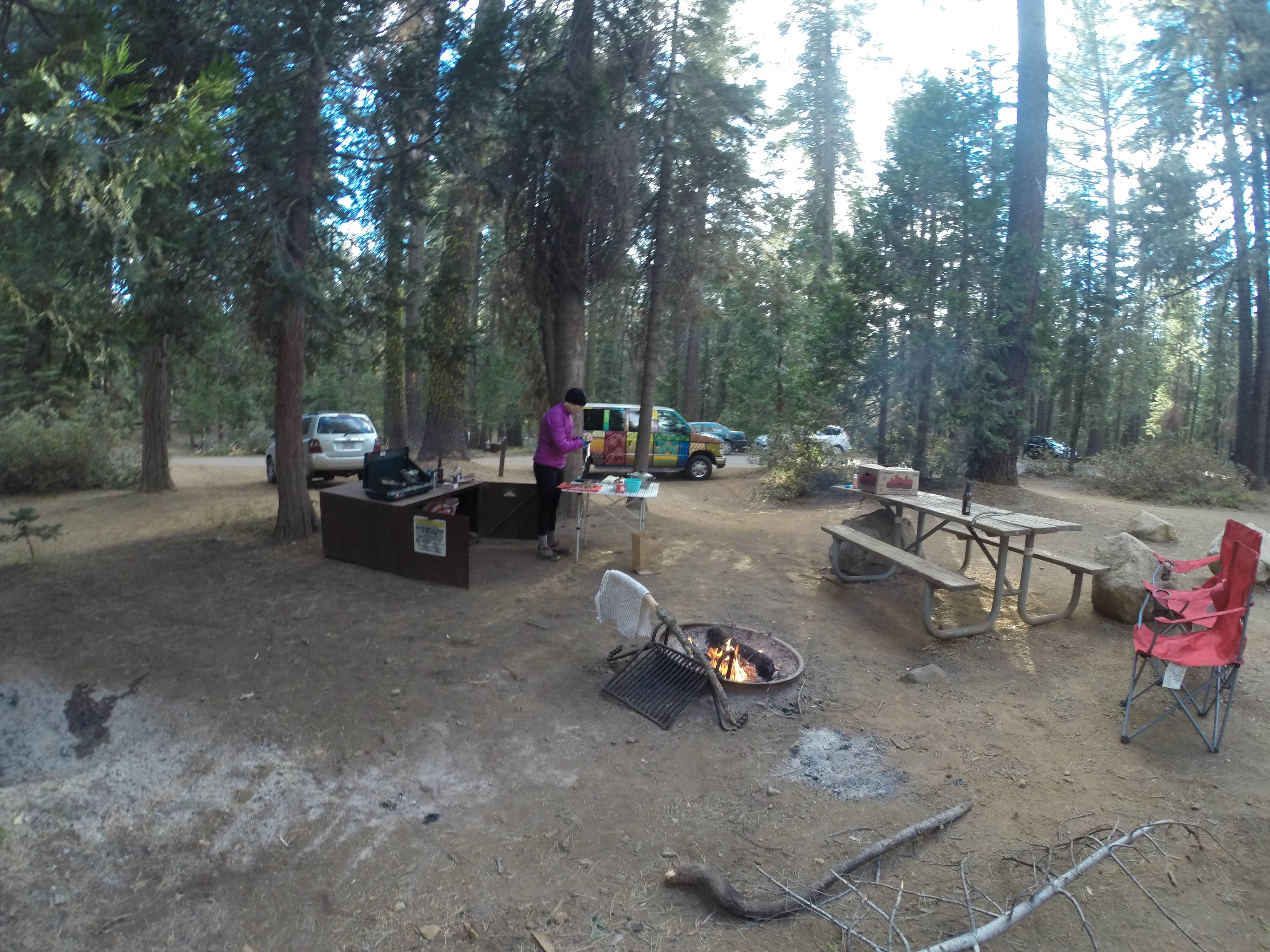Carly E.'s photo at Crane Flat Campground — Yosemite National Park near Eastman Lake