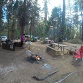 Review photo of Crane Flat Campground — Yosemite National Park by Carly E., May 23, 2018