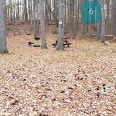 Review photo of Federated Womens Club State Forest by Jean C., November 8, 2020