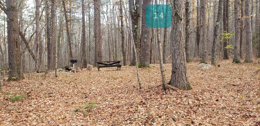 Camper submitted image from Federated Womens Club State Forest - 3