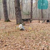 Review photo of Federated Womens Club State Forest by Jean C., November 8, 2020