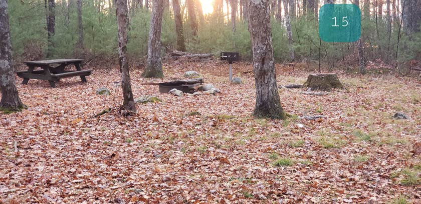 Federated Womens Club State Forest
