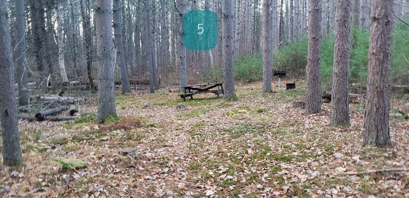 Camper-submitted photo at Federated Womens Club State Forest near Whately, MA