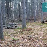 Review photo of Federated Womens Club State Forest by Jean C., November 8, 2020