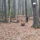 Review photo of Federated Womens Club State Forest by Jean C., November 8, 2020