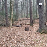 Review photo of Federated Womens Club State Forest by Jean C., November 8, 2020