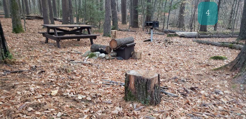 Camper-submitted photo at Federated Womens Club State Forest near Whately, MA