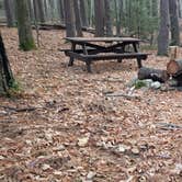 Review photo of Federated Womens Club State Forest by Jean C., November 8, 2020