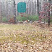 Review photo of Federated Womens Club State Forest by Jean C., November 8, 2020