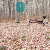 Review photo of Federated Womens Club State Forest by Jean C., November 8, 2020