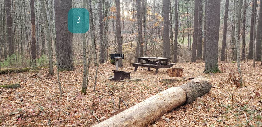 Camper-submitted photo at Federated Womens Club State Forest near Whately, MA