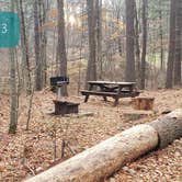 Review photo of Federated Womens Club State Forest by Jean C., November 8, 2020