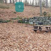 Review photo of Federated Womens Club State Forest by Jean C., November 8, 2020