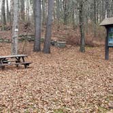 Review photo of Federated Womens Club State Forest by Jean C., November 8, 2020