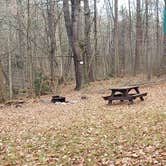 Review photo of Federated Womens Club State Forest by Jean C., November 8, 2020