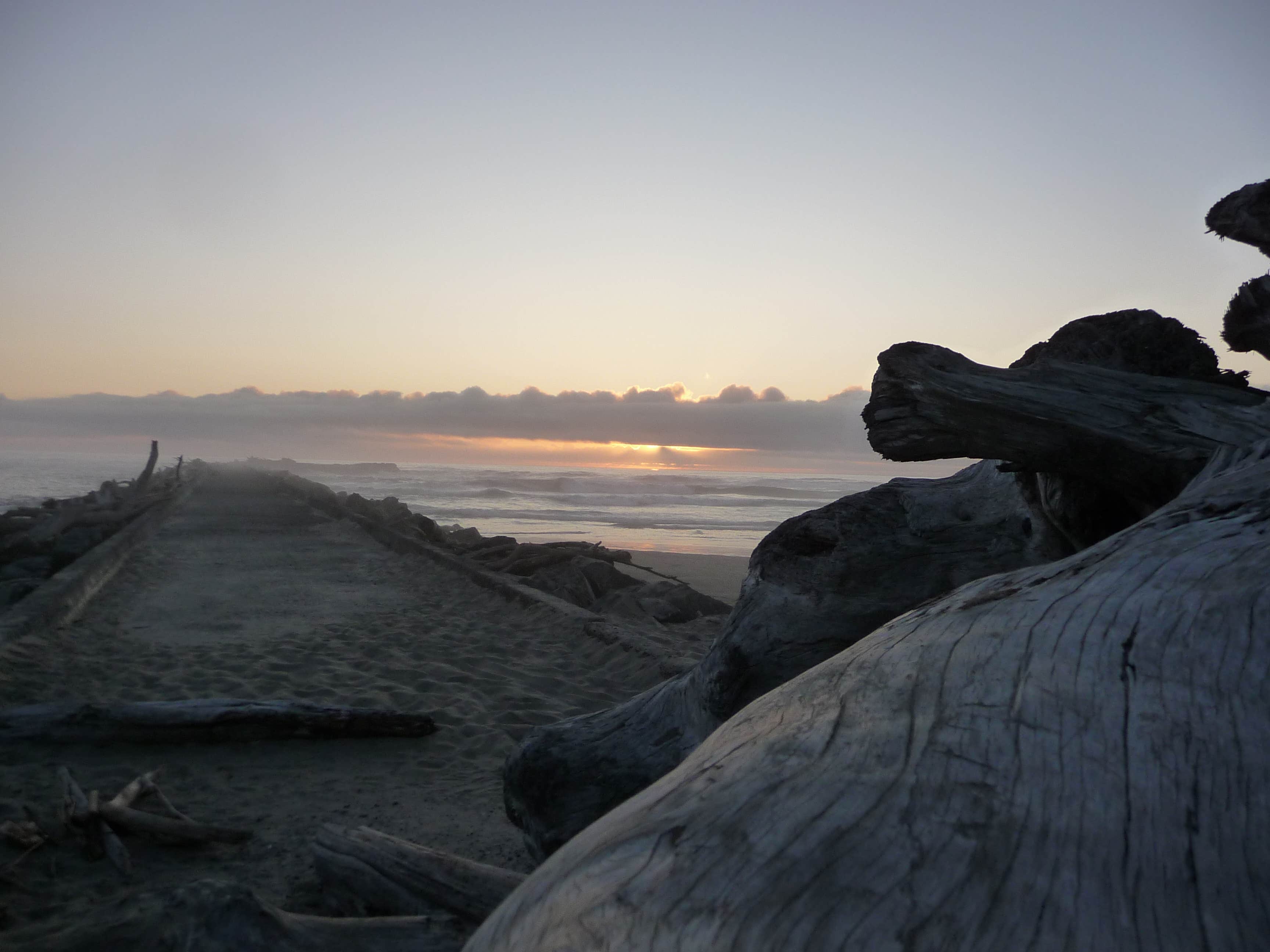 Camper submitted image from Beverly Beach State Park Campground - 4