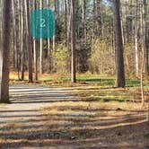 Review photo of Otter River State Forest by Jean C., November 8, 2020