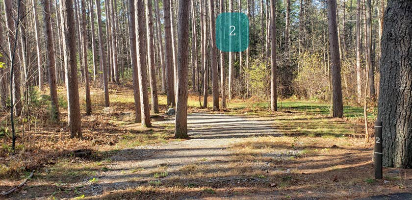 Camper submitted image from Otter River State Forest - 5