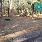 Review photo of Otter River State Forest by Jean C., November 8, 2020