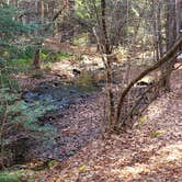 Review photo of Otter River State Forest by Jean C., November 8, 2020