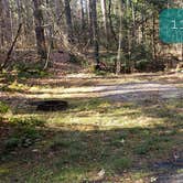 Review photo of Otter River State Forest by Jean C., November 8, 2020