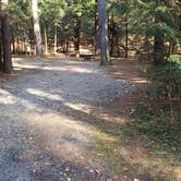 Review photo of Otter River State Forest by Jean C., November 8, 2020