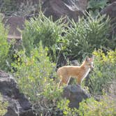 Review photo of Banbury Hot Springs Campground by Ed E., May 23, 2018