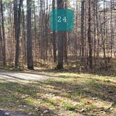 Review photo of Otter River State Forest by Jean C., November 8, 2020