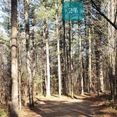 Review photo of Otter River State Forest by Jean C., November 8, 2020