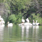 Review photo of Banbury Hot Springs Campground by Ed E., May 23, 2018