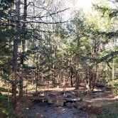 Review photo of Otter River State Forest by Jean C., November 8, 2020