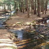 Review photo of Otter River State Forest by Jean C., November 8, 2020