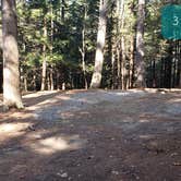 Review photo of Otter River State Forest by Jean C., November 8, 2020