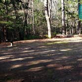 Review photo of Otter River State Forest by Jean C., November 8, 2020