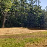 Review photo of Otter River State Forest by Jean C., November 8, 2020