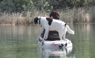 Ed E.'s photo of camping with pets at Banbury Hot Springs Campground - Temporarily Closed near Twin Falls, ID