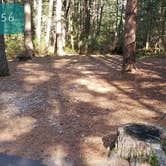 Review photo of Otter River State Forest by Jean C., November 8, 2020