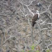 Review photo of Banbury Hot Springs Campground by Ed E., May 23, 2018