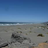 Review photo of Beverly Beach State Park Campground by Sherry J., July 10, 2016