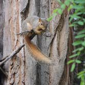 Review photo of Banbury Hot Springs Campground by Ed E., May 23, 2018