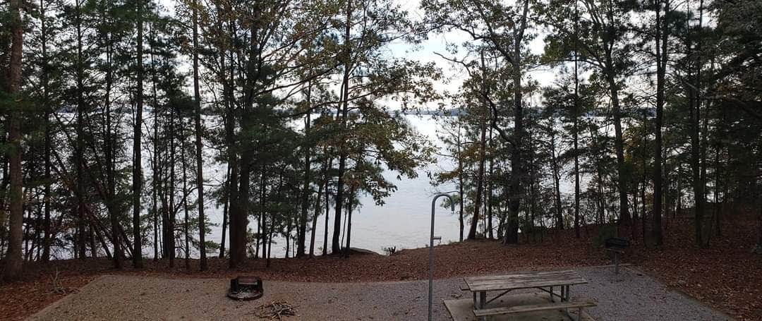 Shady grove online campground