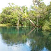 Review photo of Rainbow Springs State Park Campground by Danyel P., November 8, 2020